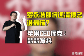 枣庄要账公司更多成功案例详情